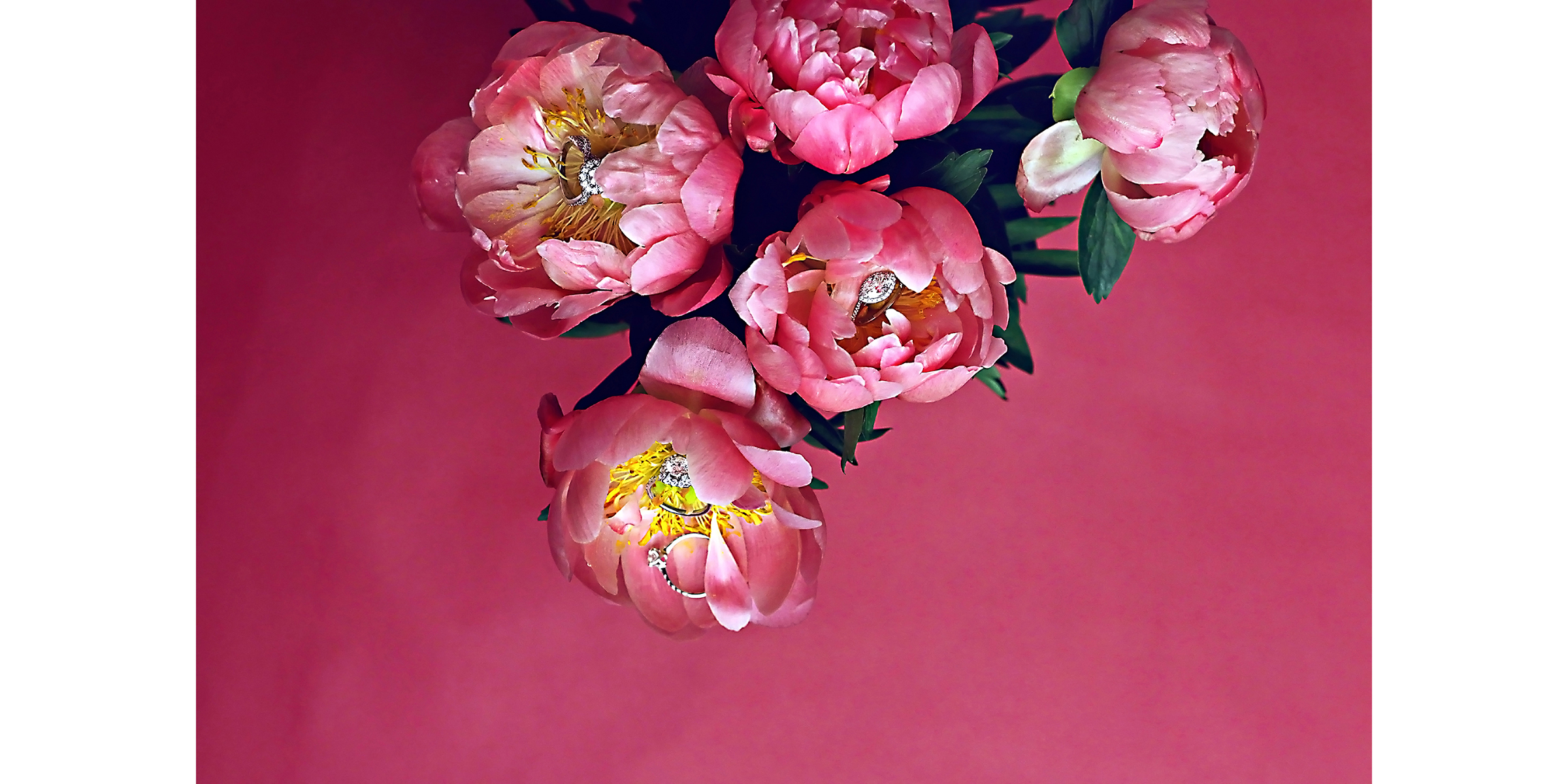 Photo by Cybelle Codish – Contact for licensing.