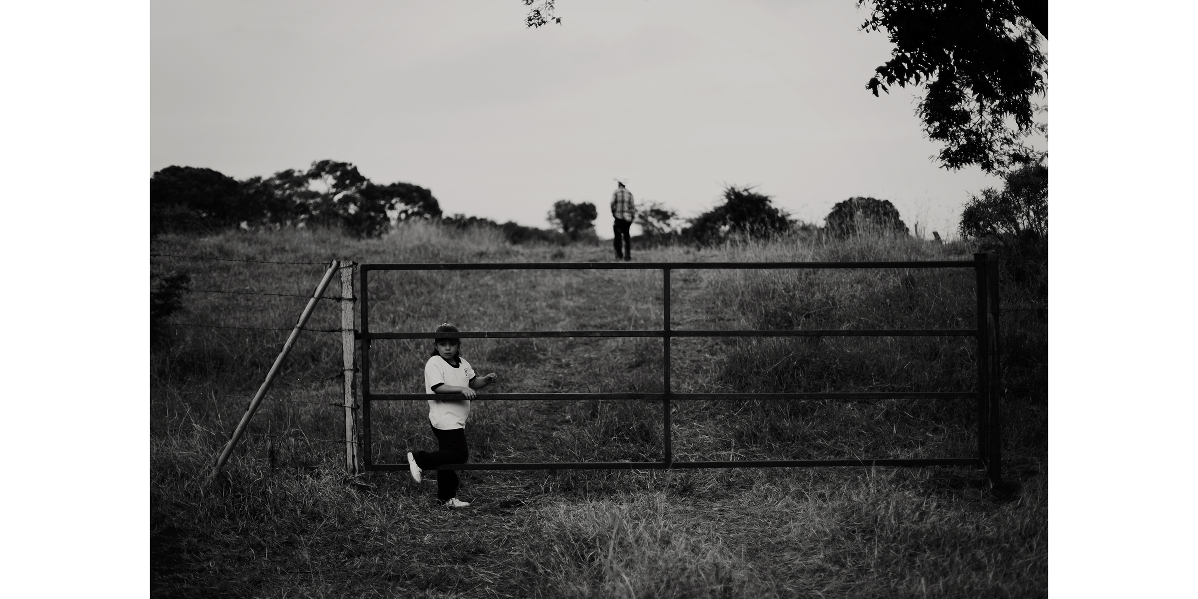 Photo by Cybelle Codish – Contact for licensing.