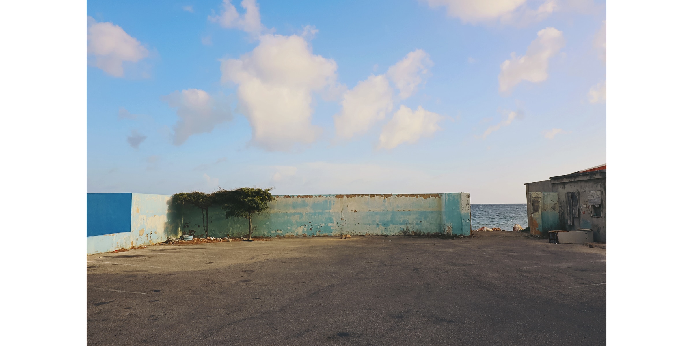 Photo by Cybelle Codish – Contact for licensing.