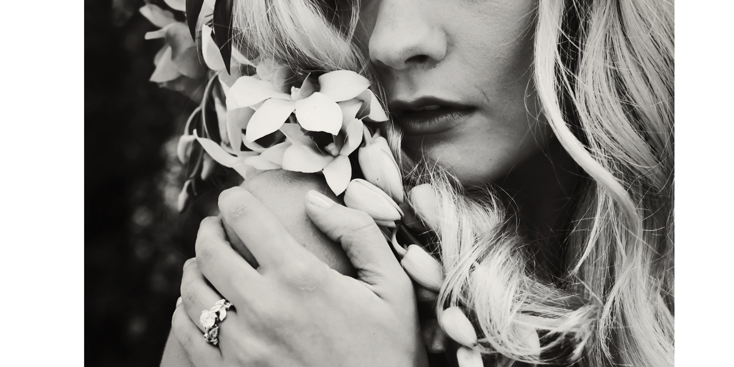 Photo by Cybelle Codish – Contact for licensing.