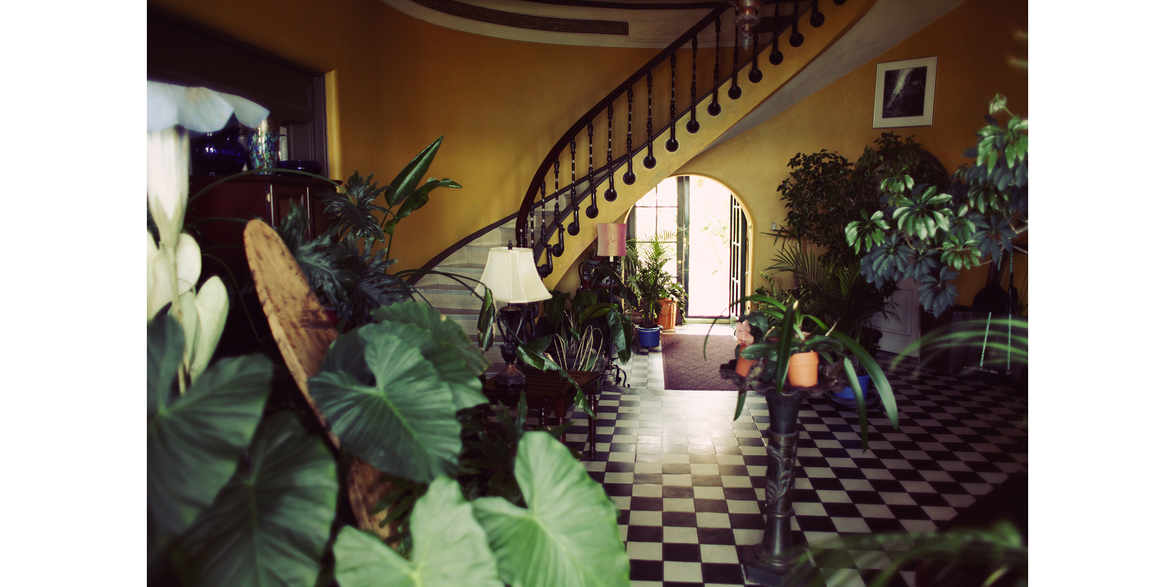 Photo by Cybelle Codish – Contact for licensing.